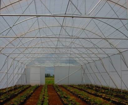 Green house
